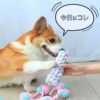 犬用おもちゃトイセット ロープ結び 縫い包み 噛む 安全 ストレス発散 トレーニング 歯磨き 犬用玩具 コットン 綿 丈夫 小型犬 中型犬 MIYU-JP ミユ ジャパン - 画像 (19)
