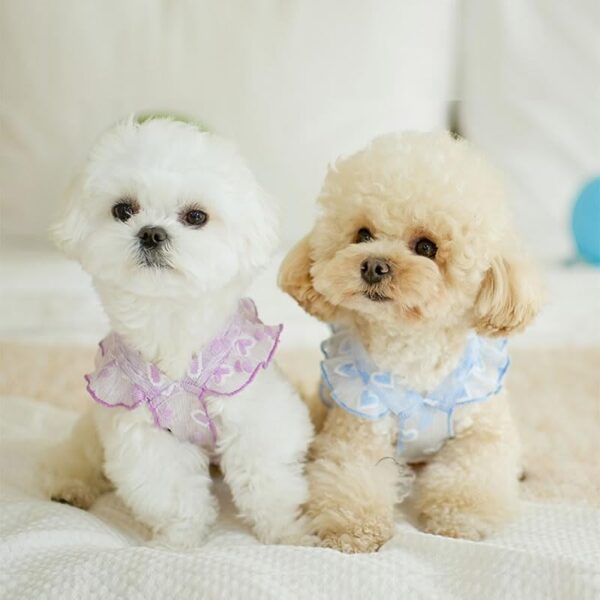 ペットのお洋服 ドッグウェア ドレス キャミ 犬用 ハート パーティー お祝い 誕生日 夏服 中型犬 小型犬【全2カラー】MIYU-JP ミユ ジャパン - 画像 (5)