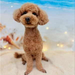 dog_slide_16
